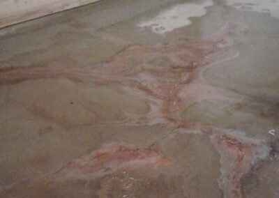 Basement Flooding Damage - Efflorescence: White, chalky deposits on basement walls or floor surfaces may indicate the movement of water through concrete, bringing minerals to the surface.