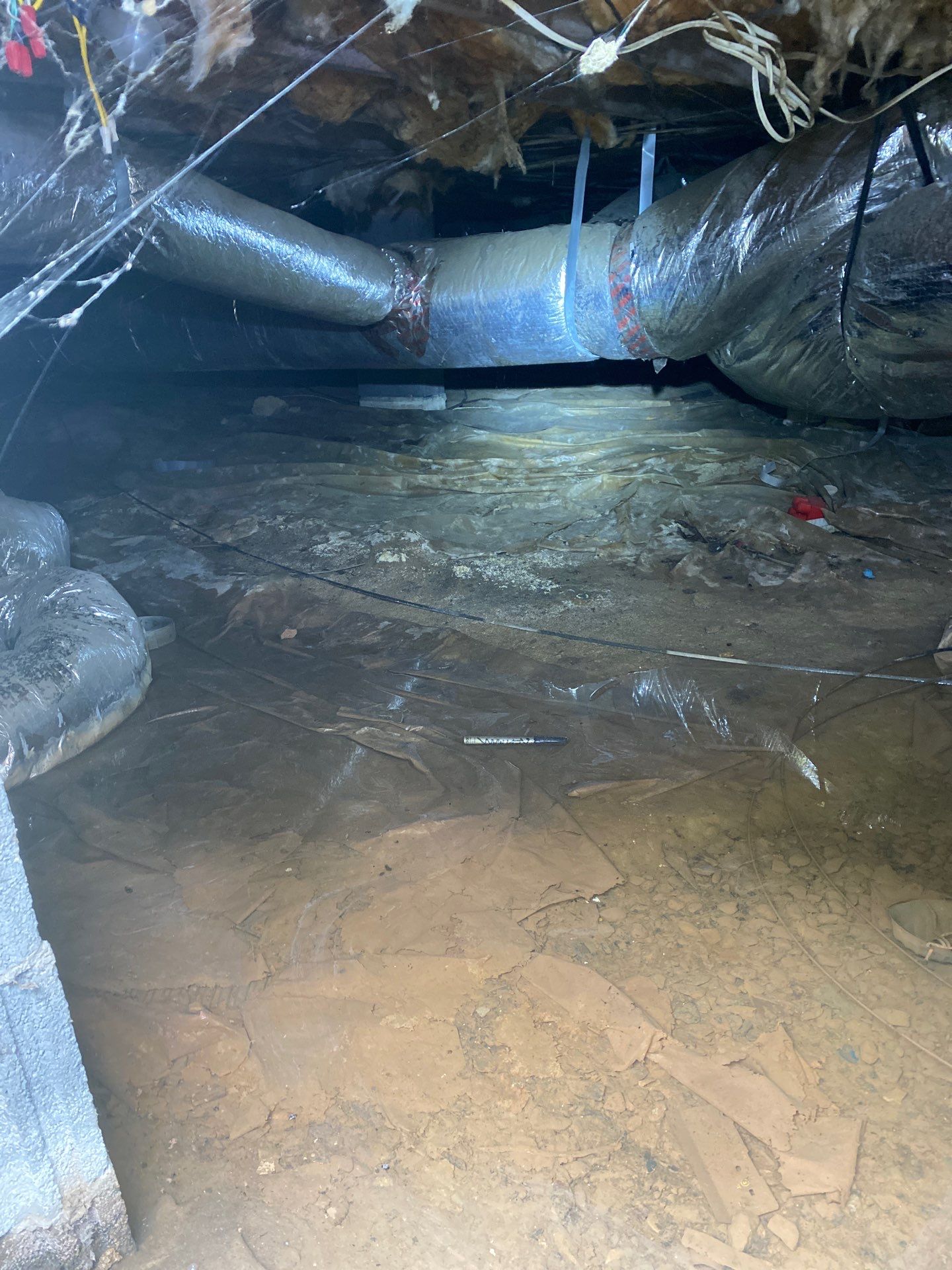 Standing Water in The Crawl Space