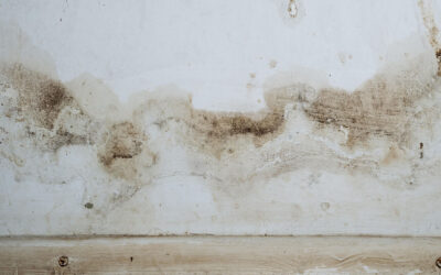 Water Seepage vs Humidity