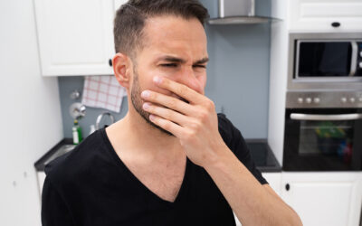 How Your Basement Affects the Air You Breathe: Mold, Moisture, and What You Can Do About It